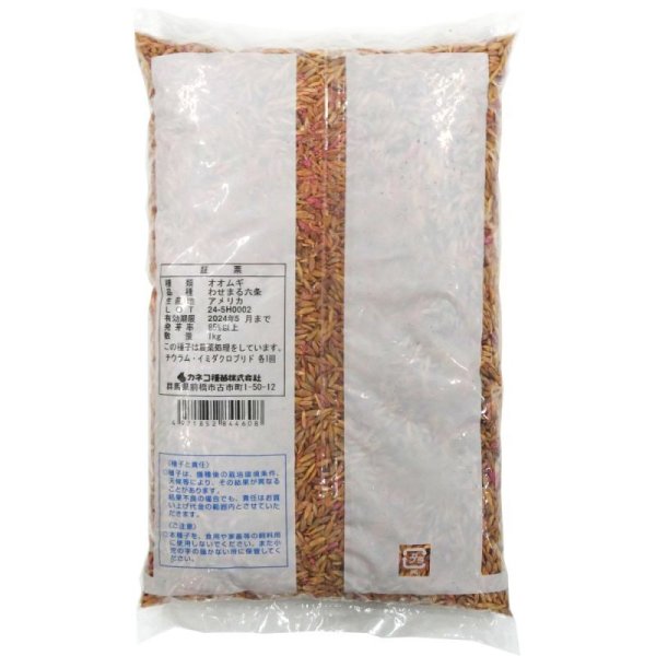 オオムギ|極早生種|わせまる六条【1kg】飼料用芒なし六条大麦