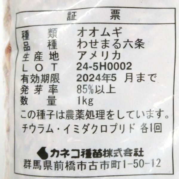 オオムギ|極早生種|わせまる六条【1kg】飼料用芒なし六条大麦