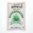 【牧草種子】エンバク｜はやわざ｜超極早生種【1kg】農研機構・カネコ種苗共同育成品種