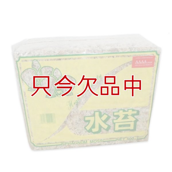 ニュージーランド産ミズゴケ[AAAA級]【500g（40L）】