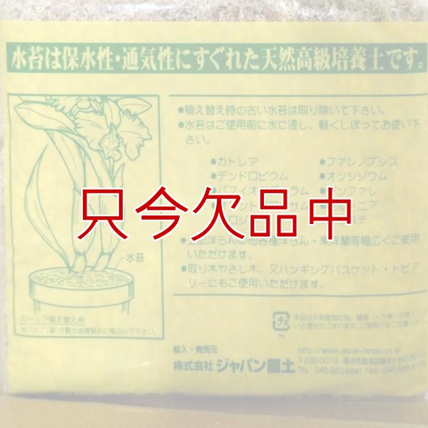 ニュージーランド産ミズゴケ[AAAA級]【500g（40L）】