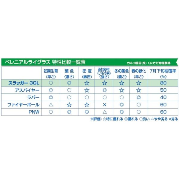 【西洋芝種子】ペレニアルライグラス｜スラッガー3GL｜通年維持管理用