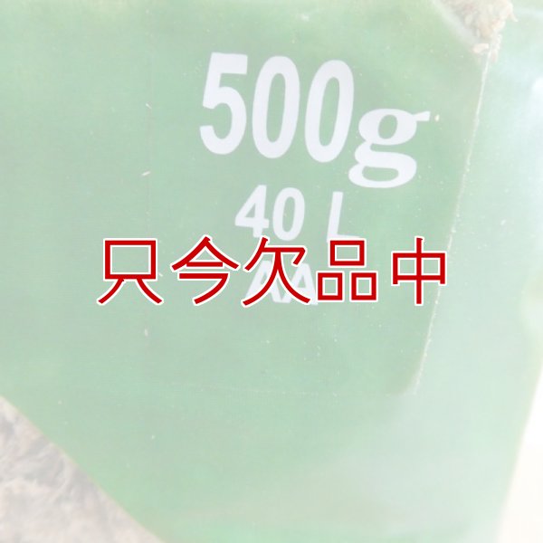 ペルー産ミズゴケ[AA級] 【500g / 40L】Inka Moss【プレミアム水苔】