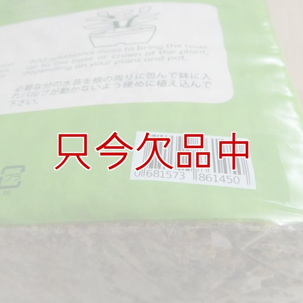 ペルー産ミズゴケ[AAA級] 【500g / 40L】Inka Moss【プレミアム水苔】