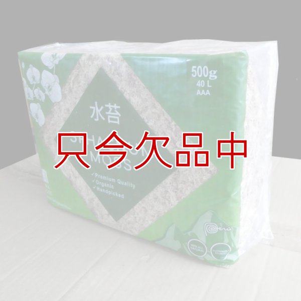 ペルー産ミズゴケ[AAA級] 【500g / 40L】Inka Moss【プレミアム水苔】