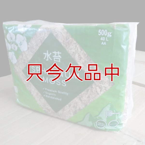 ペルー産ミズゴケ[AA級] 【500g / 40L】Inka Moss【プレミアム水苔】