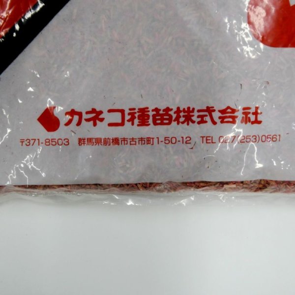 【牧草種子】F1・イタリアンライグラス|ライジン2【1kg】【早生種/短期利用型】カネコ種苗製