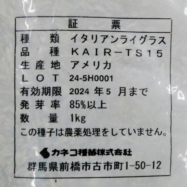【牧草種子】イタリアンライグラス|フウジンSR【1kg】【4倍体中晩生種/中期利用型】2023年秋発売新品種|カネコ種苗製