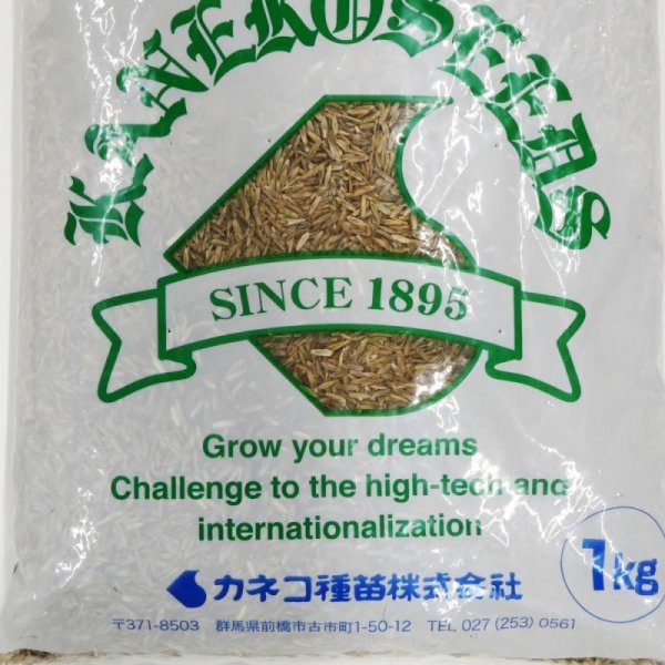 【牧草種子】イタリアンライグラス|フウジンSR【1kg】【4倍体中晩生種/中期利用型】2023年秋発売新品種|カネコ種苗製