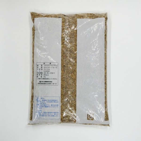 【牧草種子】イタリアンライグラス|フウジンSR【1kg】【4倍体中晩生種/中期利用型】2023年秋発売新品種|カネコ種苗製