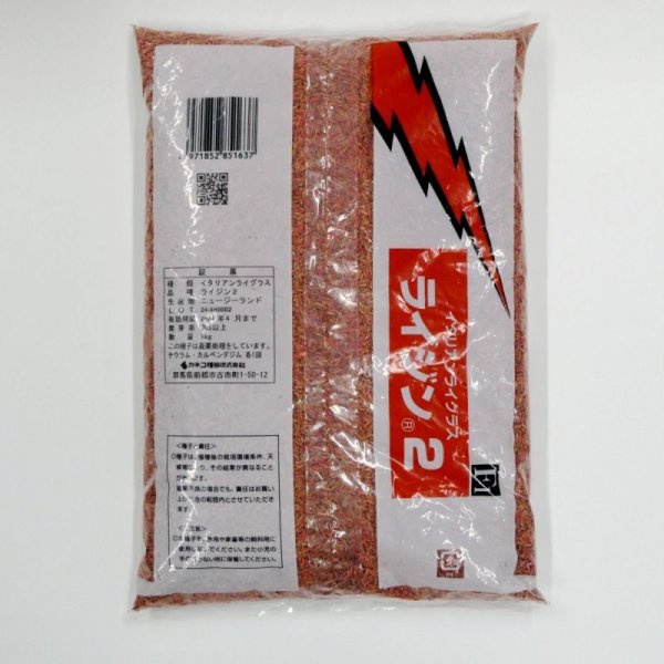 【牧草種子】F1・イタリアンライグラス|ライジン2【1kg】【早生種/短期利用型】カネコ種苗製