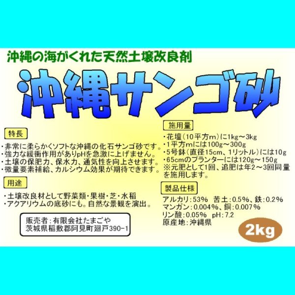 画像7: 沖縄サンゴ砂|さんご化石【2kg】海がくれた天然土壌改良剤|アルカリ53% (7)
