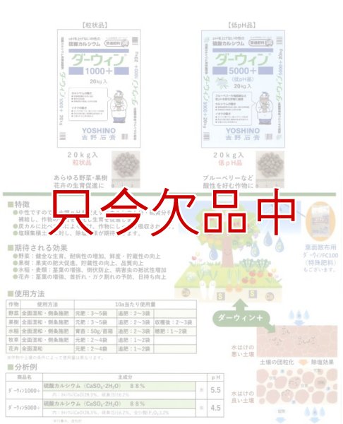 ダーウィン1000+ 硫酸カルシウム