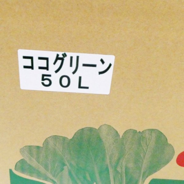 箱入り-ココグリーン(ヤシガラピート6mm)【50L】