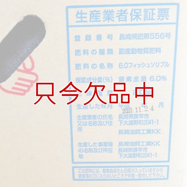 ニューシィー・プロテイン｜6.0フィッシュソリブル【20kg】