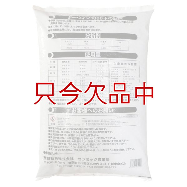 ダーウィン1000+