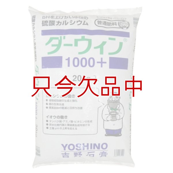 ダーウィン1000+