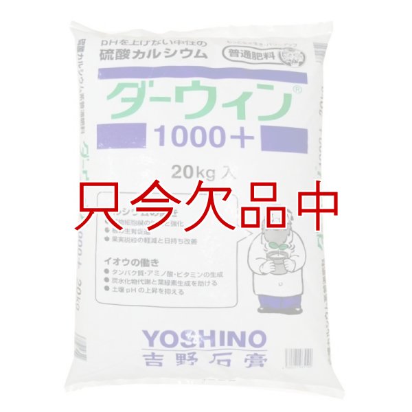 ダーウィン1000+