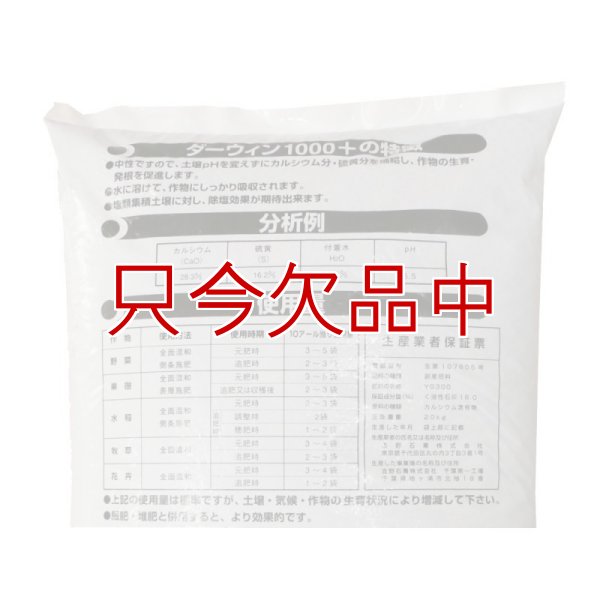 ダーウィン1000+