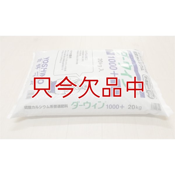 ダーウィン1000+