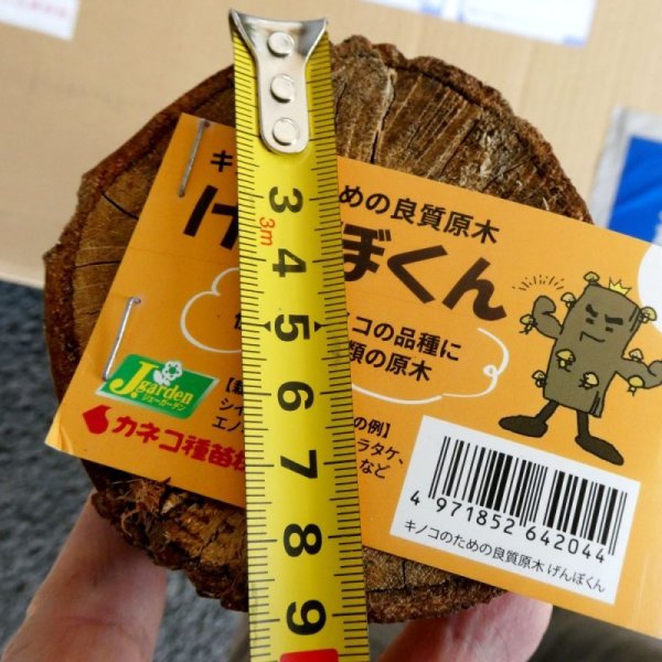 げんぼくん（90cmｘ3入り）｜種菌打ち込み用｜キノコ栽培に適した高品質なナラ材｜極上きのこ体験