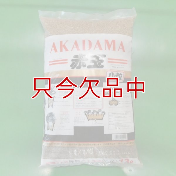 二本線赤玉土（茨城産硬質）小粒