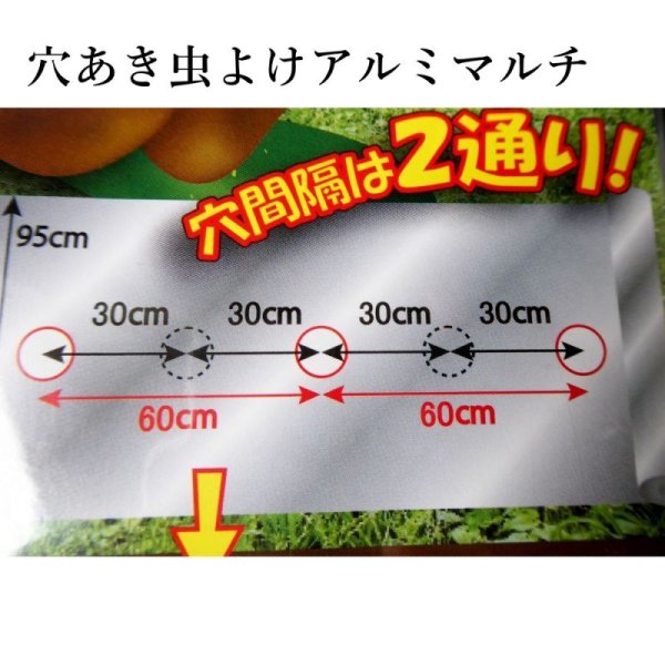 穴あき】虫よけアルミマルチ【1条用】(95cm×5m)穴の間隔60cm【9160】