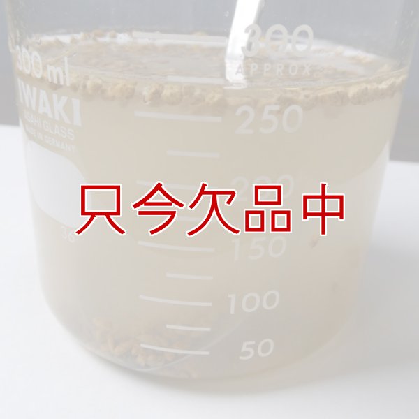 ひゅうが土-【細粒・18L】無菌ボラ土｜理想的な園芸用土｜永田農法に最適