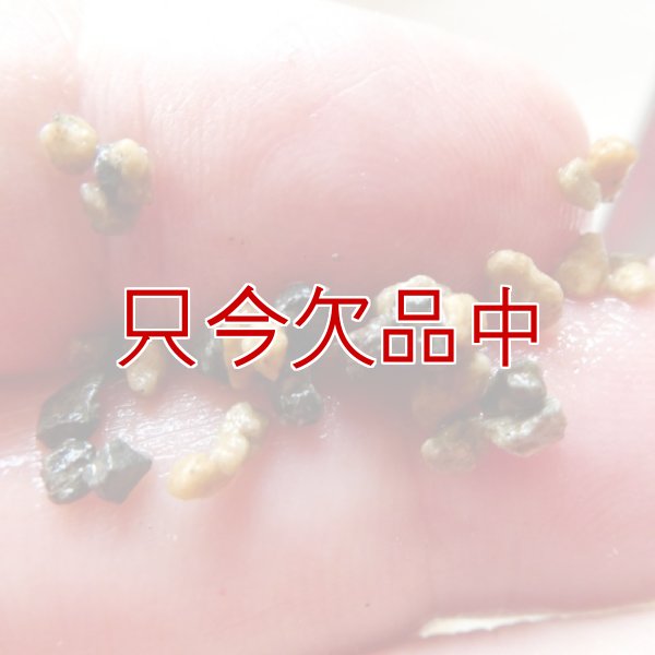 ひゅうが土-【細粒・18L】無菌ボラ土｜理想的な園芸用土｜永田農法に最適