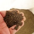 昆布粉末（20 メッシュ）【100kg（20kgｘ5袋）】【送料無料】【A飼料】炭酸 Ca3％入ラミナリア・ジャポニカ（真昆布）【日祭日の配送および時間指定不可】