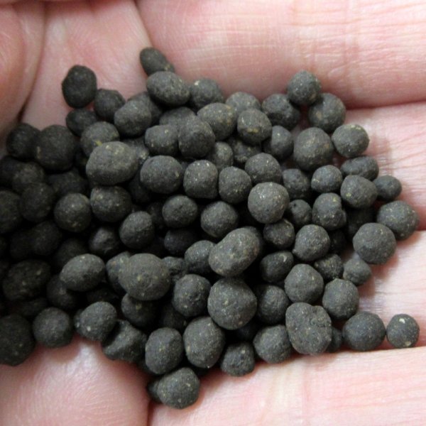 粒状-アカギユーキ561（N5-P6-K1）