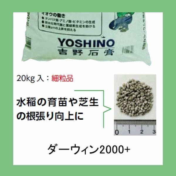 ダーウィン2000+(細粒)