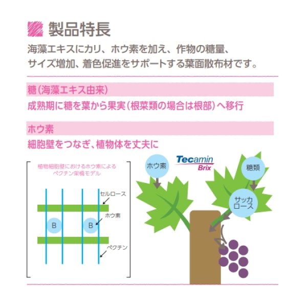 テカミンブリックスTecamin Brix｜果実成熟期の糖度上昇に