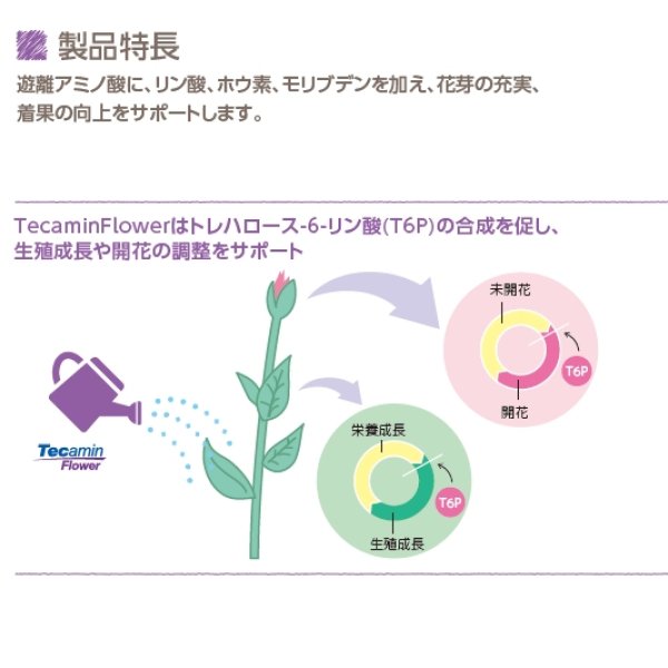 テカミンFlower【1L/1.2kg】TecaminFlower｜花芽の充実に