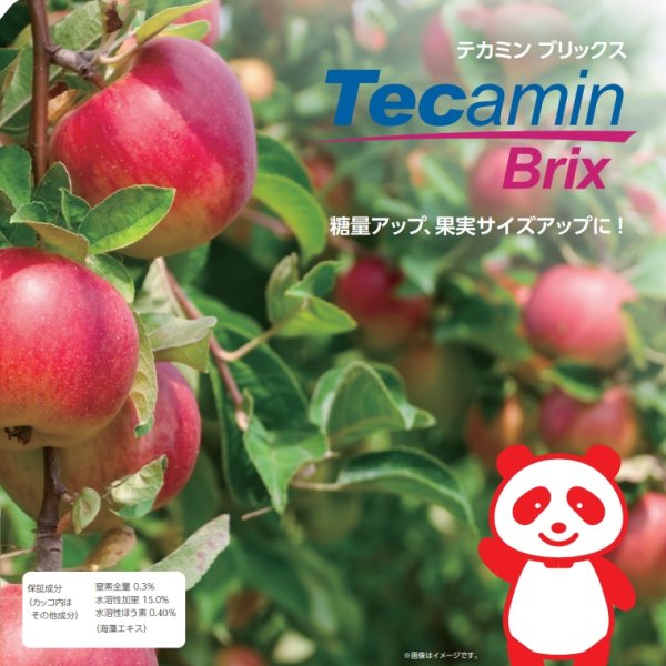 テカミンブリックスTecamin Brix｜果実成熟期の糖度上昇に