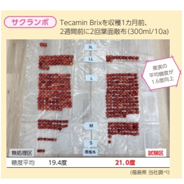 テカミンブリックスTecamin Brix｜果実成熟期の糖度上昇に