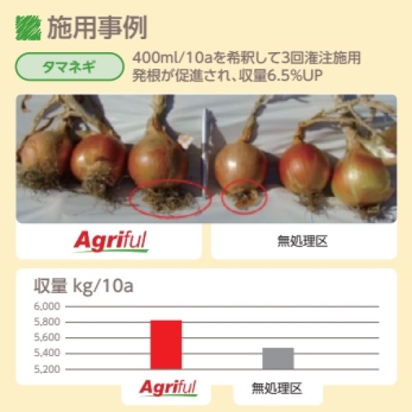 アグリフル【5L / 6kg】AGRIFUL