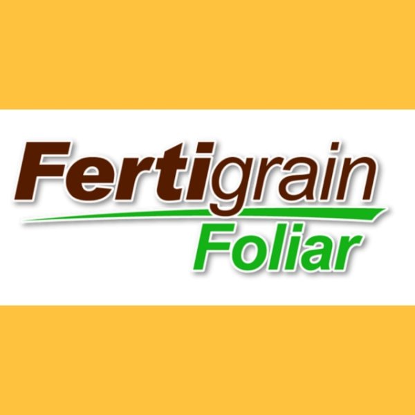 ファーティグレインフォリアー