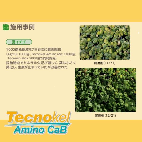 テクノケルアミノCaB｜味の素