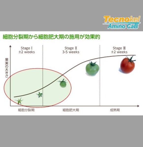 テクノケルアミノCaB｜味の素