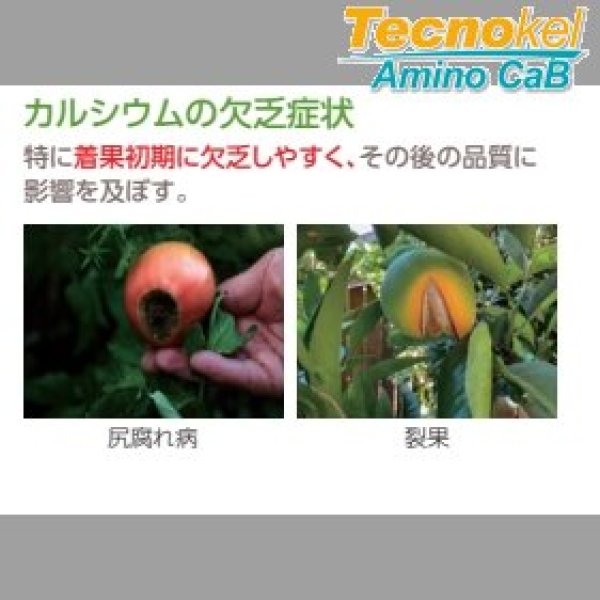 テクノケルアミノCaB｜味の素