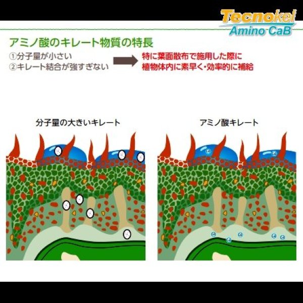 テクノケルアミノCaB｜味の素