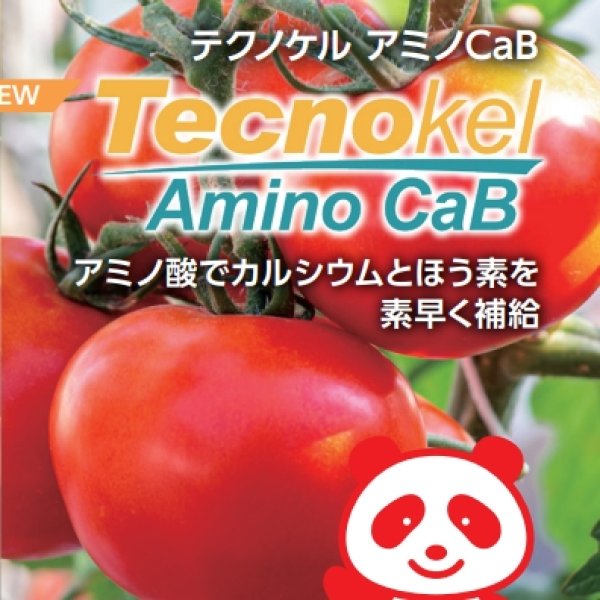 テクノケルアミノCaB｜味の素