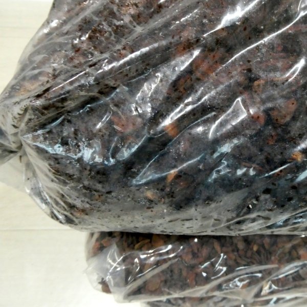 ポルトガル産ディスプレーバーク｜SS粒（10-15mm）【50L】