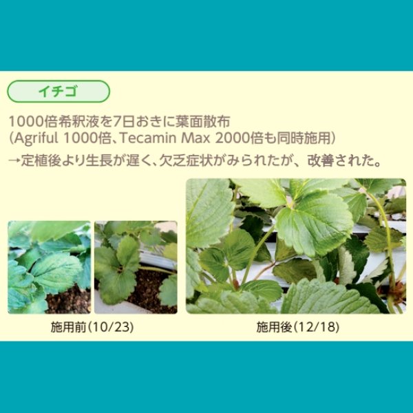 テクノケルアミノMix【1L/1.2kg】Tecnokel Amino Mix