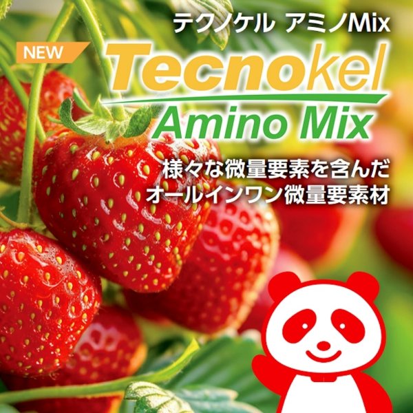 テクノケルアミノMix【1L/1.2kg】Tecnokel Amino Mix