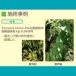 テクノケルアミノMix【1L/1.2kg】Tecnokel Amino Mix