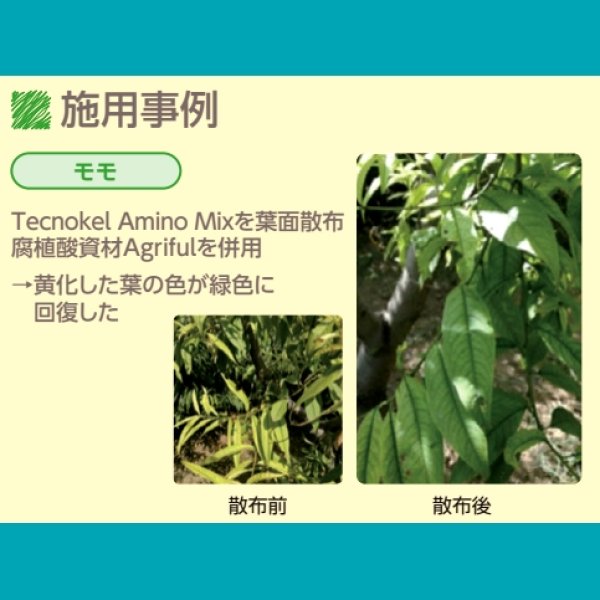 テクノケルアミノMix【1L/1.2kg】Tecnokel Amino Mix