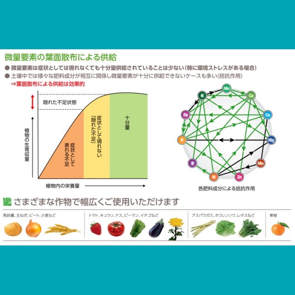 テクノケルアミノMix【1L/1.2kg】Tecnokel Amino Mix