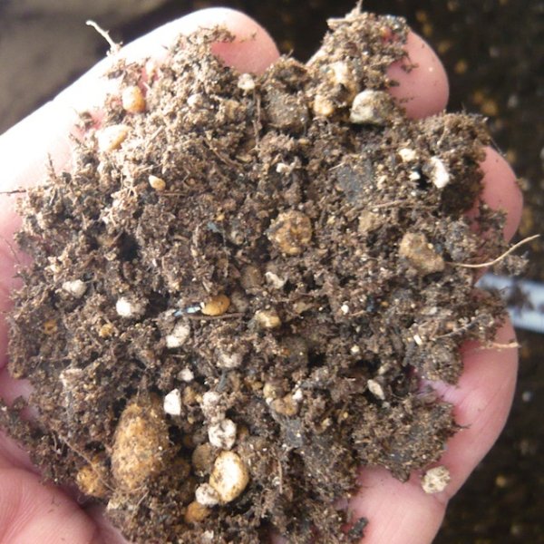 (無肥料)育苗ポット培土【40Lx10袋】